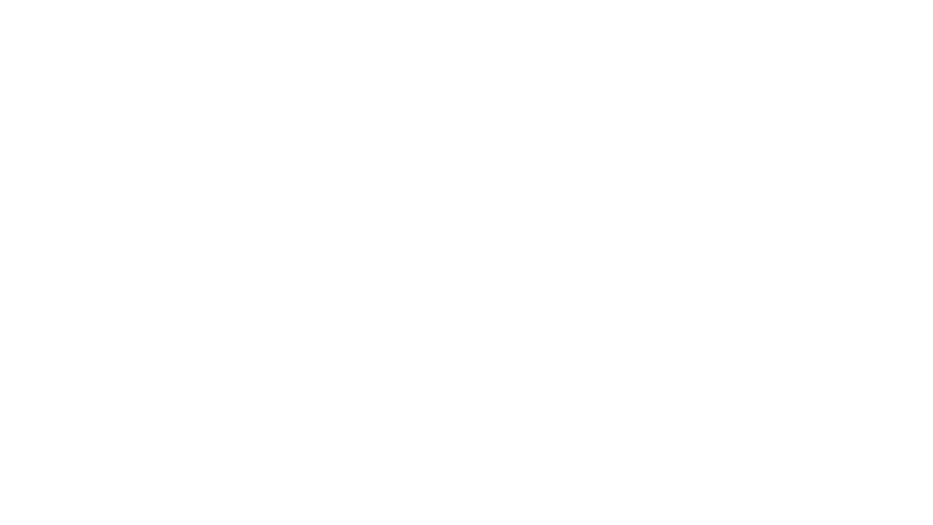 Bradenton Village